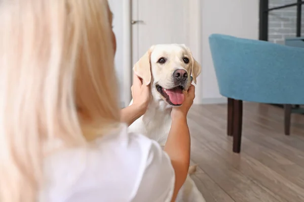 Wanita Dewasa Dengan Anjing Labrador Lucu Kamar Tidur — Stok Foto