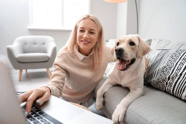 Mulher Madura Com Cão Bonito Labrador Usando Laptop Casa — Fotografia de Stock