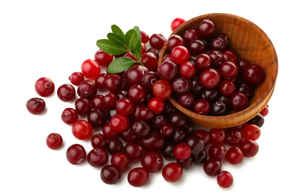 Bowl Ripe Cranberries White Background — Stock Photo, Image