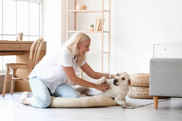 Mulher Madura Divertindo Com Cão Bonito Labrador Casa — Fotografia de Stock