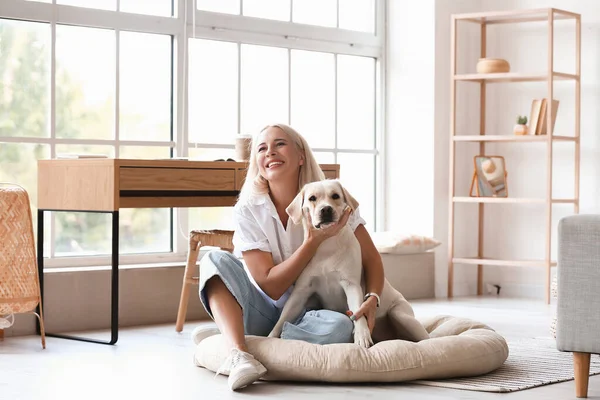 Mature Woman Cute Labrador Dog Sitting Pet Bed Home — Stock Photo, Image