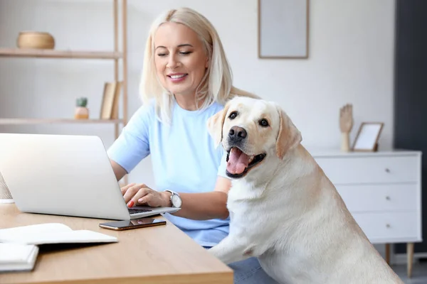 Зрелая Женщина Симпатичной Собакой Лабрадором Использует Ноутбук Дома — стоковое фото