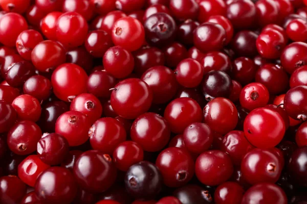 Cranberries Suculentos Maduros Como Fundo — Fotografia de Stock