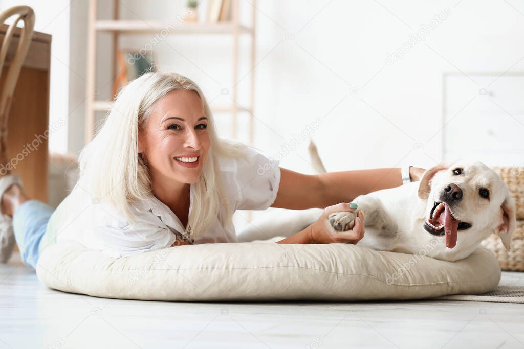 Mature woman with cute Labrador dog lying on pet bed at home