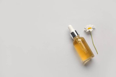 Gerekli yağ şişesi ve gri arkaplanda papatya çiçeği