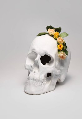 Işık arkaplanda çiçekler olan insan kafatası