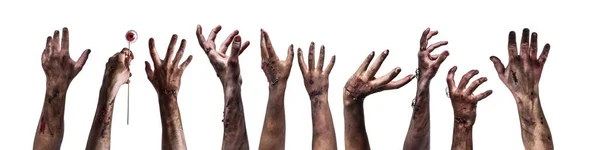 Muitas Mãos Zumbis Assustadores Fundo Branco — Fotografia de Stock