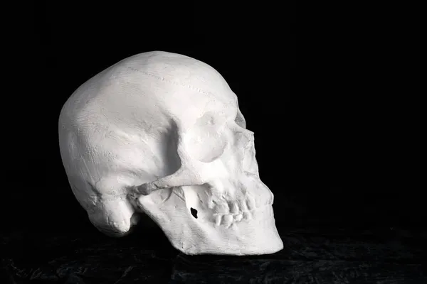 暗い背景の人間の頭蓋骨は — ストック写真