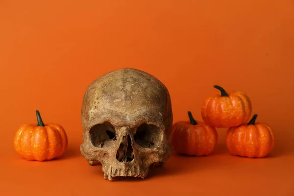 Skull Pumpkins Color Background — Stock Photo, Image