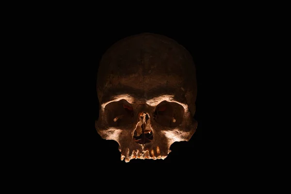 暗い背景に人間の頭蓋骨のシルエット — ストック写真