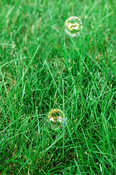 Burbujas Jabón Arco Iris Hierba Verde Aire Libre — Foto de Stock
