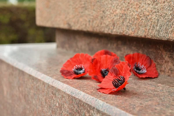 Fleurs Pavot Sur Monument Pierre Jour Souvenir — Photo