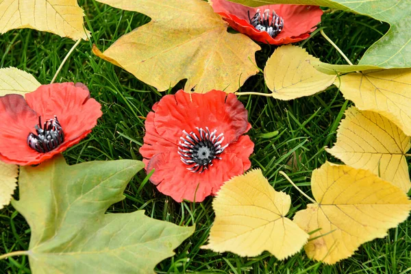 Poppy Flowers Fallen Leaves Green Grass Remembrance Day — Stock Photo, Image