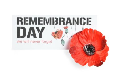 Kanada 'da Anma Günü. Beyaz arkaplanlı kırmızı gelincik çiçekleri