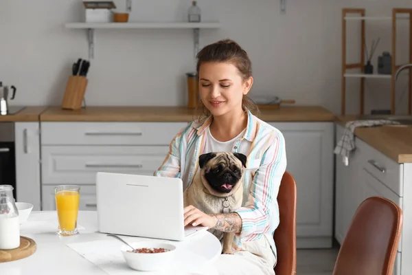 Young Woman Cute Pug Dog Using Laptop Kitchen — Stock Photo, Image