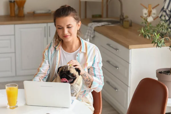 Jovem Mulher Com Cão Pug Bonito Usando Laptop Cozinha — Fotografia de Stock