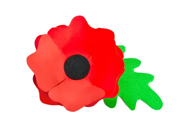 Remembrance Day Canada Red Poppy Flower White Background — Stock Photo, Image