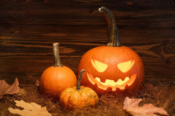 Carved Whole Pumpkins Halloween Dark Wooden Background — Stock Photo, Image