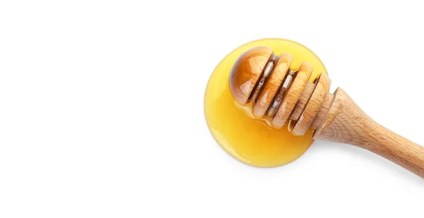 Άρκτος Γλυκό Μέλι Λευκό Φόντο — Φωτογραφία Αρχείου