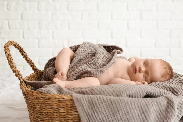 睡在篮子里的小宝宝 — 图库照片