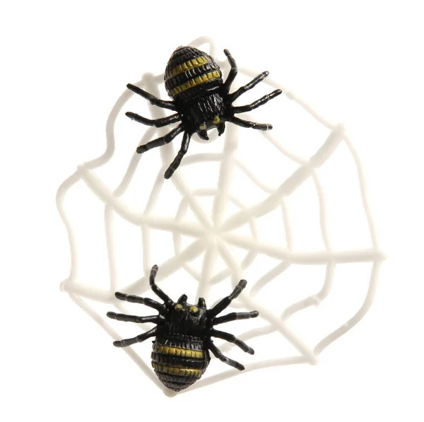 Cobweb Και Αράχνες Για Απόκριες Λευκό Φόντο — Φωτογραφία Αρχείου