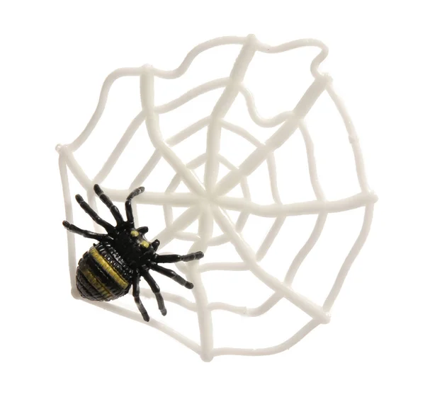 Cobweb Και Αράχνη Για Απόκριες Λευκό Φόντο — Φωτογραφία Αρχείου