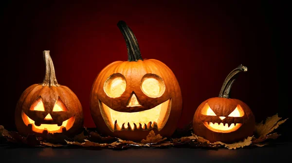 Faragott Tök Halloween Sötét Háttér — Stock Fotó
