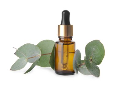 Beyaz üzerine izole edilmiş bir şişe okaliptüs yağı.