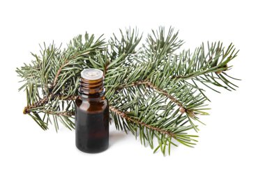 Beyaz arka planda bir şişe kozalaklı gerekli yağ