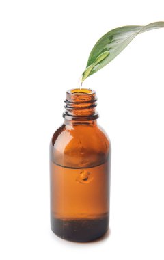 Beyaz arka planda yapraktan şişeye yağ damlıyor.
