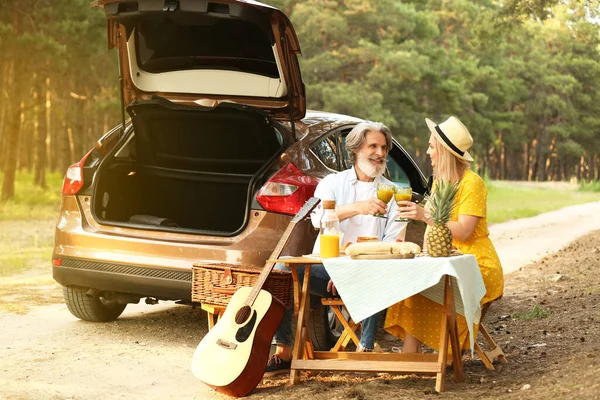 Mutlu Olgun Çift Ormanda Piknik Yapıyor — Stok fotoğraf