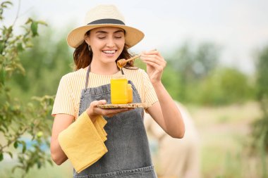 Arı kovanında bal taşıyan dişi arıcı.