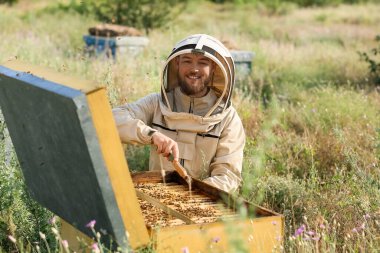 Arı yetiştiricisi arıcıda çalışıyor.