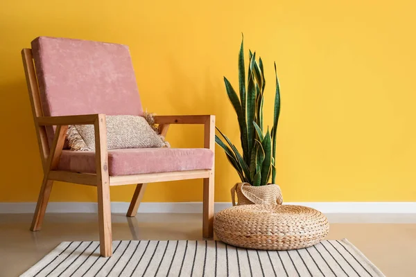 Soft Wooden Armchair Houseplant Color Wall — Stock Photo, Image