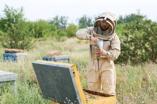 Beekeeper Working His Apiary — Stock Photo, Image