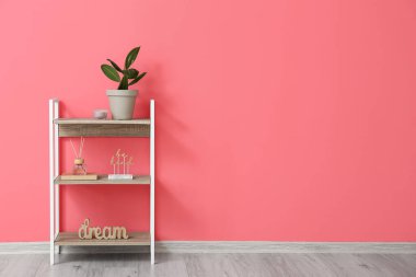 Ev bitkisi, sazlık dağıtıcı ve renk duvarına yakın dekorlu şık raf ünitesi