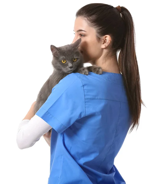 Kvinna Veterinär Med Söt Katt Vit Bakgrund — Stockfoto