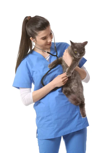 Kvinna Veterinär Undersöka Söt Katt Med Stetoskop Vit Bakgrund — Stockfoto