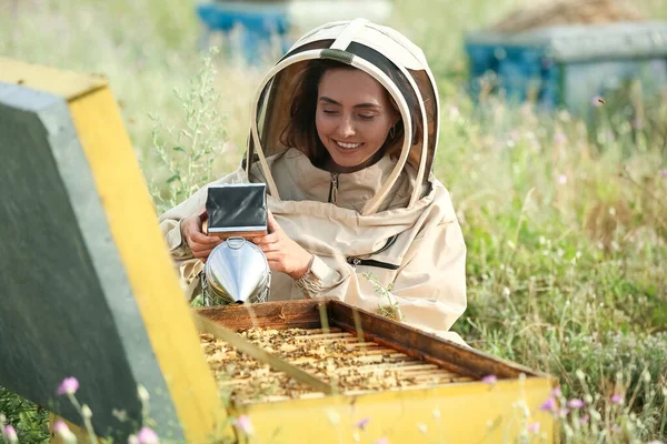 女性養蜂家とともに喫煙者とともにApiary — ストック写真