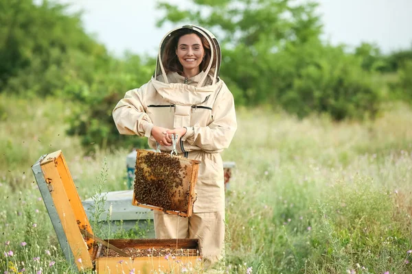 Female Beekeeper Working Apiary — Stock Photo, Image