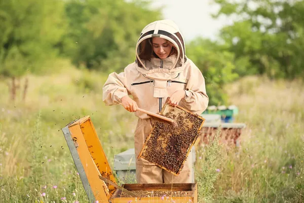 Female Beekeeper Working Apiary — Stock Photo, Image