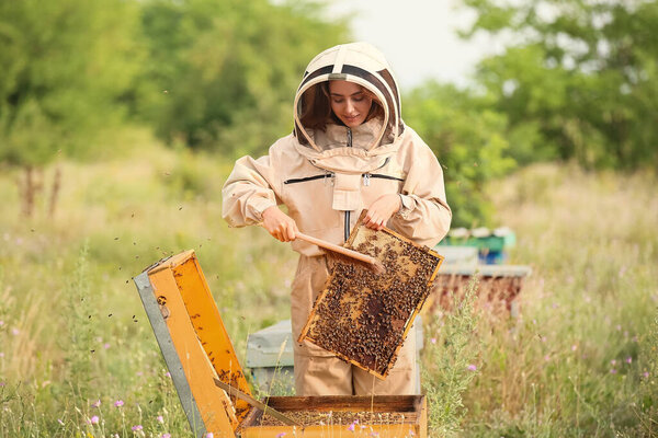 Female beekeeper working at apiary