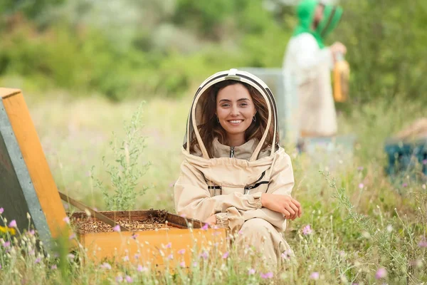 Пчеловод Работающая Пасеке — стоковое фото