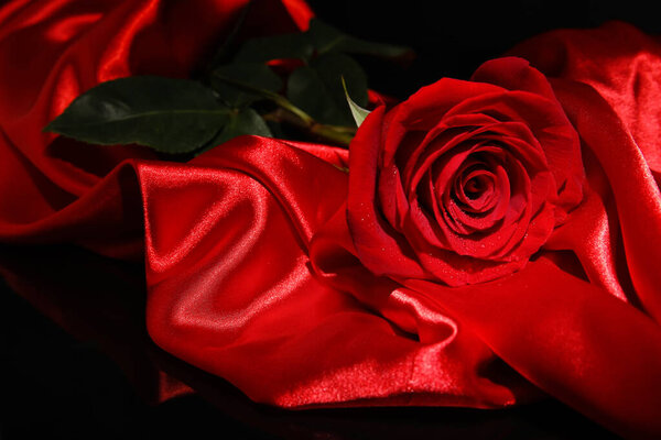 Beautiful red rose and silk on dark background