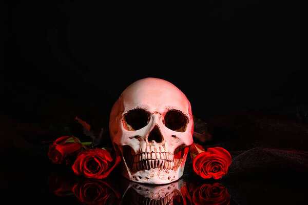 Beautiful red rose and human scull on dark background