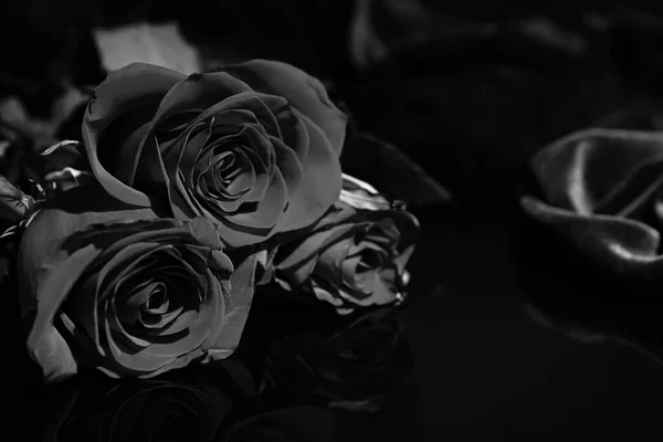 Belles Roses Noires Sur Fond Sombre — Photo