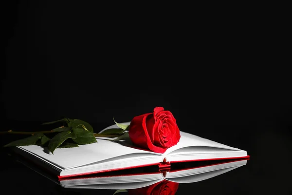 Piękna Czerwona Róża Czysta Książka Ciemnym Tle — Zdjęcie stockowe
