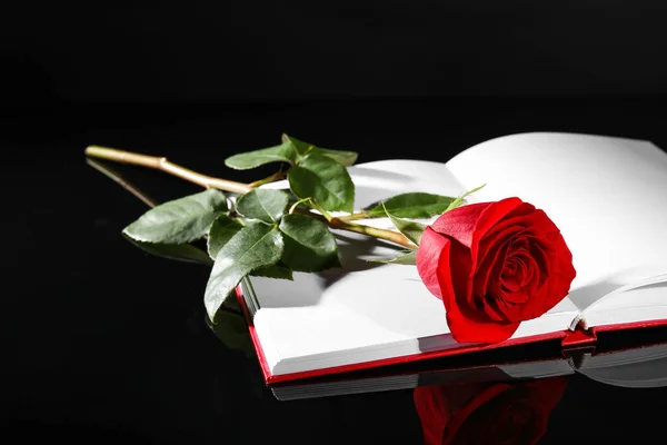 Hermosa Rosa Roja Libro Blanco Sobre Fondo Oscuro — Foto de Stock
