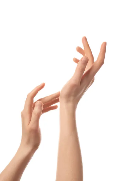Beyaz Arka Planda Izole Kadın Elleri — Stok fotoğraf