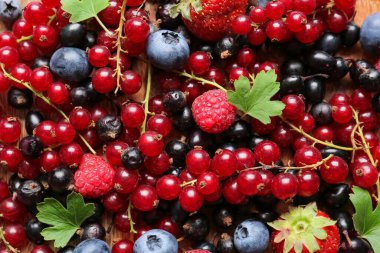 Arka plan olarak farklı olgun böğürtlenler, yakın plan